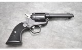 RUGER WRANGLER 22LR - 1 of 2
