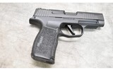 SIG SAUER P365 XL 9MM - 1 of 2
