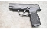 SIG SAUER P365 XL 9MM - 2 of 2