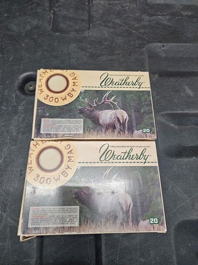 .300 weatherby magnum ammunition x2 - Image 2 of 2