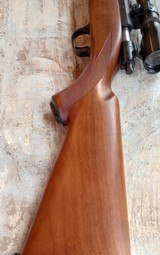 Ruger 77/22 .22 LR Bolt Action Scope Excellent - 12 of 15