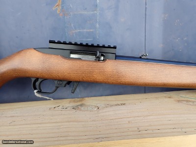 Ruger 10/22 - 22 LR 18