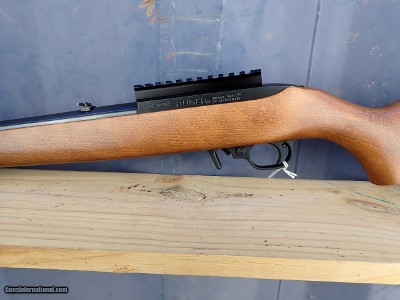 Ruger 10/22 - 22 LR 18