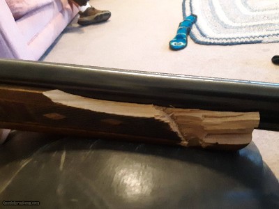 Marlin Glenfield Model 60 - 22 LR - 