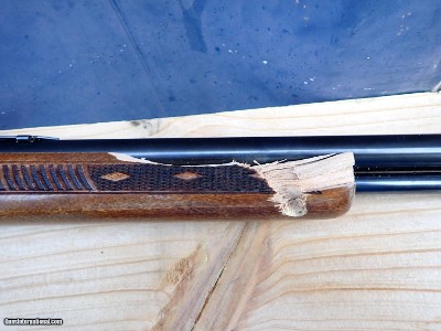 Marlin Glenfield Model 60 - 22 LR - 