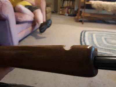 Marlin Glenfield Model 60 - 22 LR - 