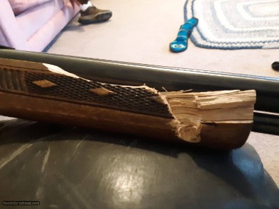 Marlin Glenfield Model 60 - 22 LR - 