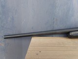 Ruger American - 243 Win - Upgraded Boyds stock - 6 of 21
