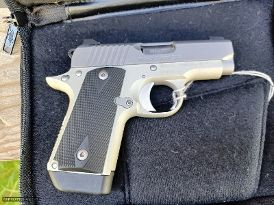 Kimber Micro Carry STS - 380 ACP - Image 7 of 9