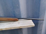 CZ 527 American - 223 Remington - 16 of 18