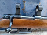 CZ 527 American - 223 Remington - 17 of 18