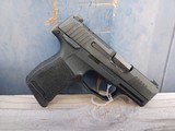 Sig Sauer - P365 - 380 ACP - 4 of 15