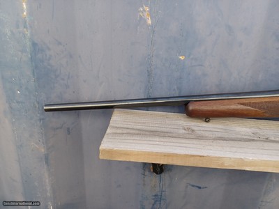 Ruger 77 - 22-250 Remington - Red Pad, Tang Safety - Image 7 of 14