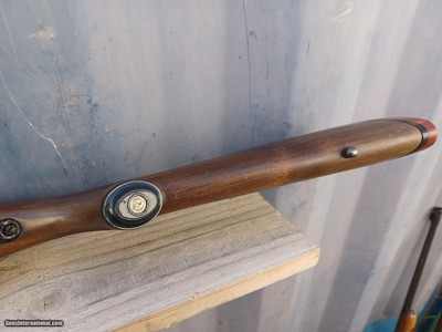 Ruger 77 - 22-250 Remington - Red Pad, Tang Safety - Image 11 of 14