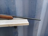CZ 527 - 22 Hornet - 4 of 9