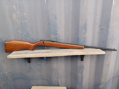 Remington 580 - 22 LR
