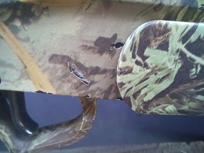 TC Thompson Center Arms Encore - 308 Winchester Camo - Image 5 of 10