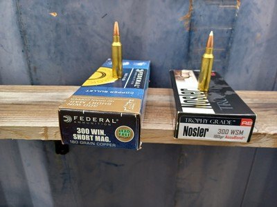 (40) Rds 300 WSM - 180 Gr Federal & Nosler - 300 Winchester Short Mag
