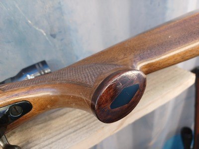 BSA Guns Hunter - 22-250 Rem - Image 13 of 14