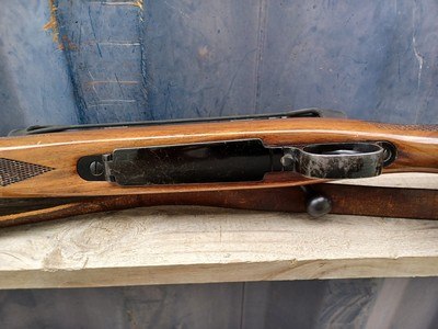 Winchester Model 70 - Image 14 of 16
