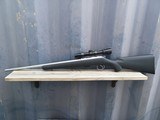 CZ 455 - 22 LR Stainless - Image 6 of 12