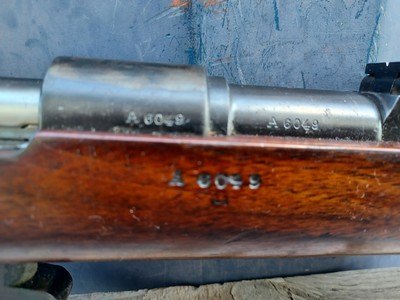 Mauser 1891 Argentinia - 7.65X53 Argentine - Image 6 of 15
