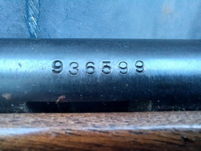 Mossberg 183T - 410 Ga - Image 9 of 12