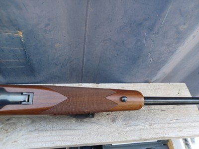 Ruger 77 Hawkeye - 223 Rem 16.5