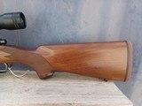 Ruger 77 Hawkeye - 223 Rem 16.5