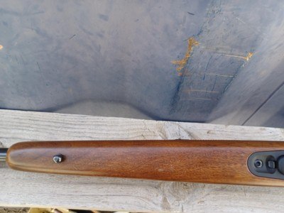 Tikka T3 - 243 Win - Image 15 of 17