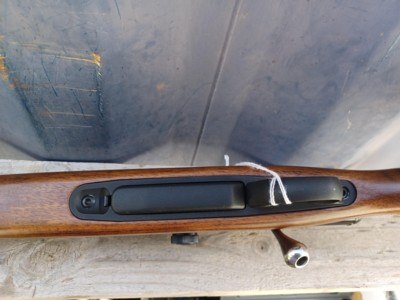 Tikka T3 - 243 Win - Image 14 of 17