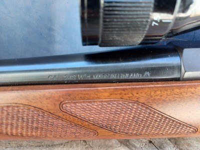 Tikka T3 - 243 Win - Image 12 of 17