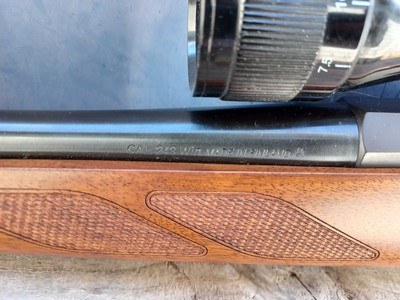 Tikka T3 - 243 Win - Image 13 of 17