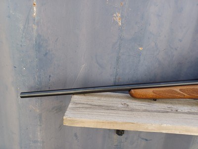 Tikka T3 - 243 Win - Image 11 of 17
