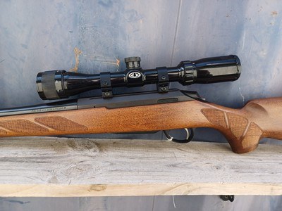 Tikka T3 - 243 Win - Image 10 of 17