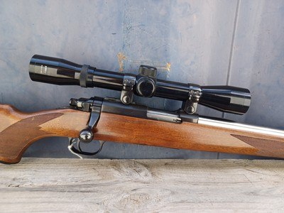 Ruger 77/22 - Rebarreled to 17 HM2 (17 Mach 2) Volquartsen - Image 3 of 15