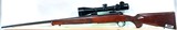 Winchester Model 70 Featherweight - Image 6 of 13