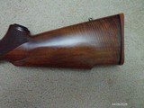 Winchester Model 70 Varmint Sporter .223 Rem. - 5 of 13