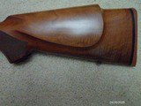 Winchester Model 70 Varmint Sporter .223 Rem. - 2 of 13