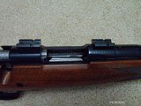 Winchester Model 70 Varmint Sporter .223 Rem. - 12 of 13