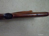 Winchester Model 70 Varmint Sporter .223 Rem. - 8 of 13
