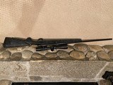 Remington 700 BDL
25-06 with Bell & Carlson stock - 6 of 13