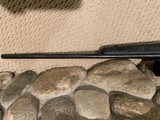 Remington 700 BDL
25-06 with Bell & Carlson stock - 4 of 13