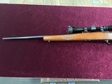 Ruger 77 in .270 with Tang Safety and Red Pad - 7 of 16