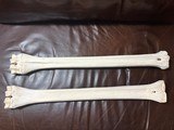 Giraffe Long bones - 4 of 4
