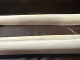 Giraffe Long bones - 2 of 4