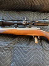 Rare Ruger 77/17 17 WSM with 1100 rounds ammo - 6 of 6