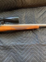 Rare Ruger 77/17 17 WSM with 1100 rounds ammo - 5 of 6