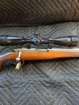 Rare Ruger 77/17 17 WSM with 1100 rounds ammo