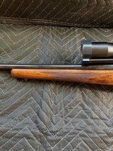 Ruger M77 MKII 243 win with threaded barrel - 2 of 6